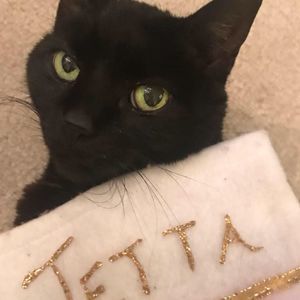 Meet your Posher, Maria